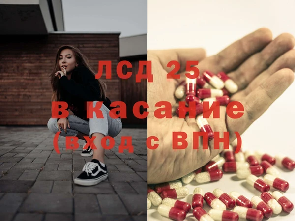 ПСИЛОЦИБИНОВЫЕ ГРИБЫ Кукмор